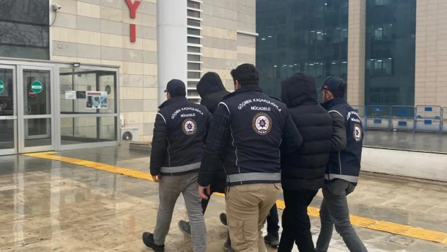 Elazığ'da Göçmen Kaçakçılığı Operasyonu: 2 Şüpheli Tutuklandı