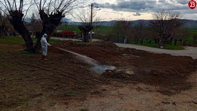 Elazığ'da Sivrisinek ve Haşereyle Mücadele Aralıksız Devam Ediyor