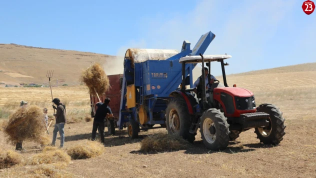 Elazığ'da Mercimek Hasadı Başladı: TAKE Projesiyle 2.574 Ton Rekolte Bekleniyor