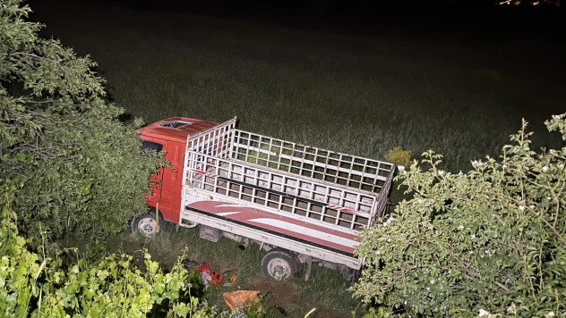 Elazığ'da Şarampole Devrilen Kamyonetteki 4 Kişi Yaralandı