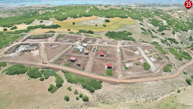 Elazığ'da Sokak Hayvanları İçin Modern Bakımevi ve Doğal Yaşam Alanı Kuruluyor