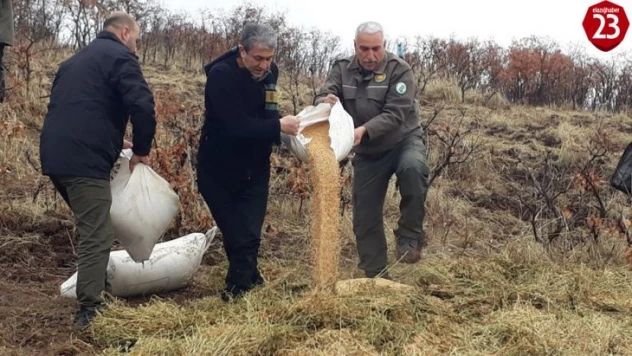 Elazığ'da yaban hayvanları için doğaya yem bırakıldı