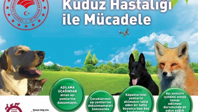 Elazığ'da Yaban Hayvanlarına Havadan Kuduz Aşısı Uygulaması Başlıyor