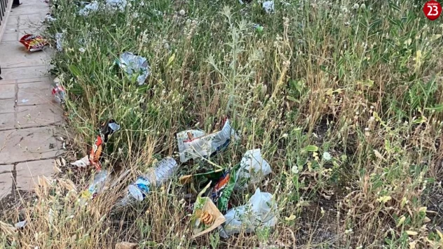 Elazığ Yemişlik TOKİ'de Tepki Çeken Aidat: Temizlik Yok, İlgi Yok Ama 1000 TL Aidat Var!