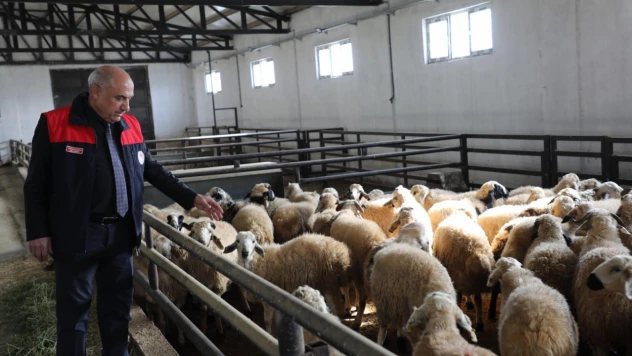 Kovancılar'da Yeni Dönem: Modern Ağıl Üretimi Güçlendirecek