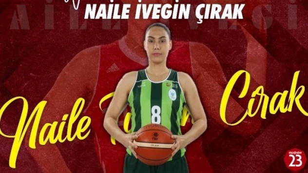 Naile İvegin Çırak, Elazığ İl Özel İdare'de