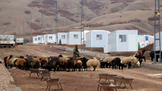 Onlarca Yıllık Çadır Çilesi Biten Göçerler Konteynerlere Yerleşiyor