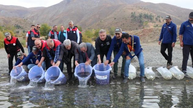 Uluslararası Hazar Sazan Kupası Kapanışında Hazar Gölü'ne 30 Bin Balık Bırakıldı