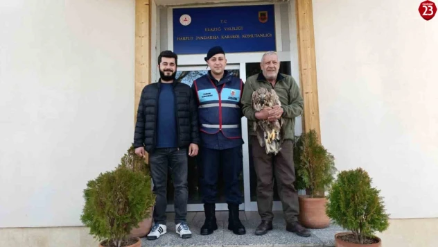 Yaralı kaya kartalına jandarma şefkati