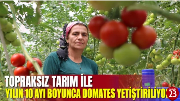 Elazığ'da Topraksız Tarıma İlgi Artıyor