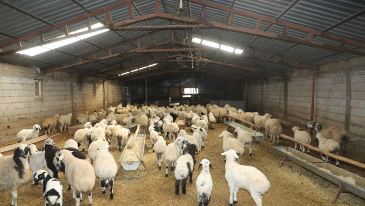 Gürçubuk Köyü’nde Hayvancılık İşletmesine Yerinde İnceleme