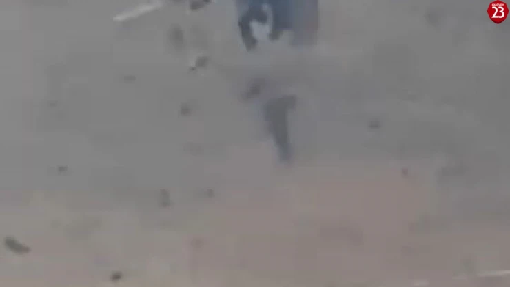 Elazığ'da Doğanın Sert Yüzü: Örümcek Ağına Düşen Arının Kurtuluş Mücadelesi Kamerada!