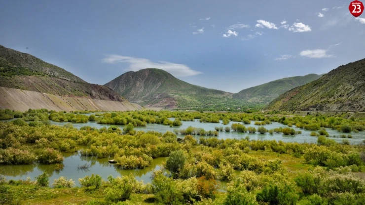Beyhan'da fotosafari heyecanı