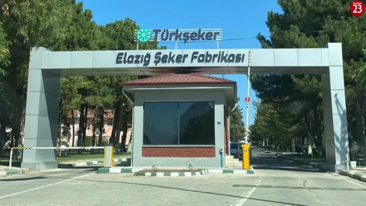 Elazığ'a 45 Kişilik Daimi İşçi Alımı: Türkşeker Başvuruları 14 Nisan'da Başlıyor