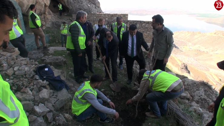 Elazığ Baskil'de Sancaktar Abdulvahap Gazi Türbesi'nde Ağaç Dikimi Gerçekleştirildi