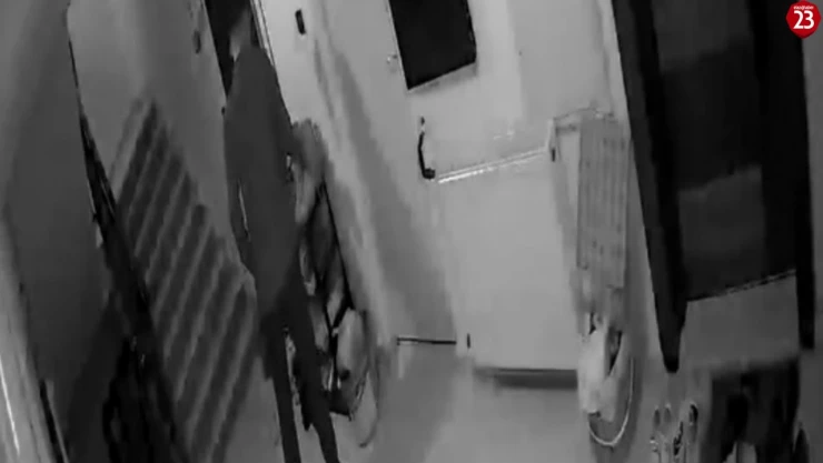 Elazığ'da ayakkabı hırsızı kısa sürede yakalandı
