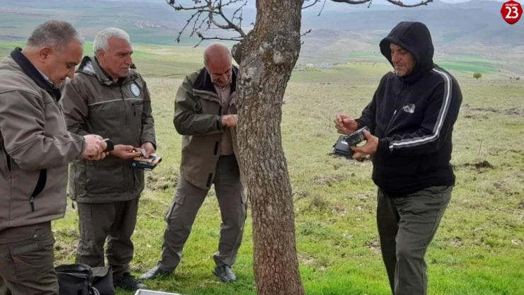 Elazığ'da fotokapanların bakımı yapıldı