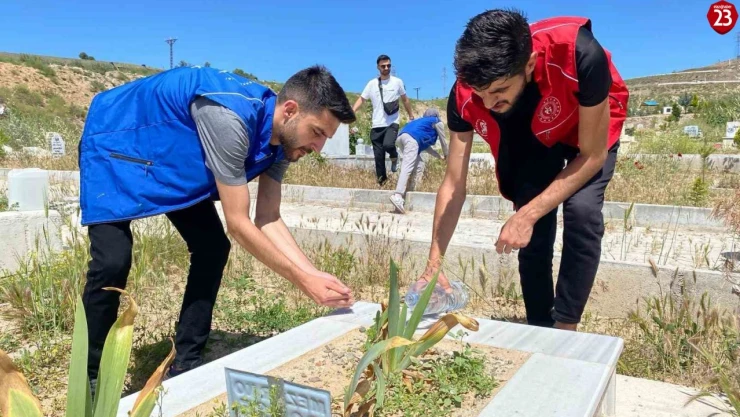 Elazığ'da gönüllü gençlerden kimsesizler mezarlığında temizlik