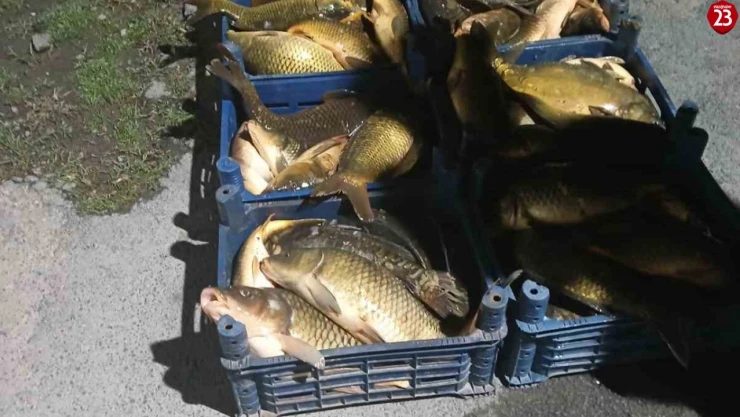 Elazığ'da Kaçak Avlanan 210 Kilogram Balığa El Konuldu