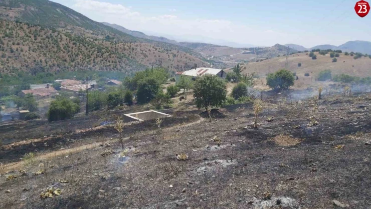 Elazığ'da ot yangını