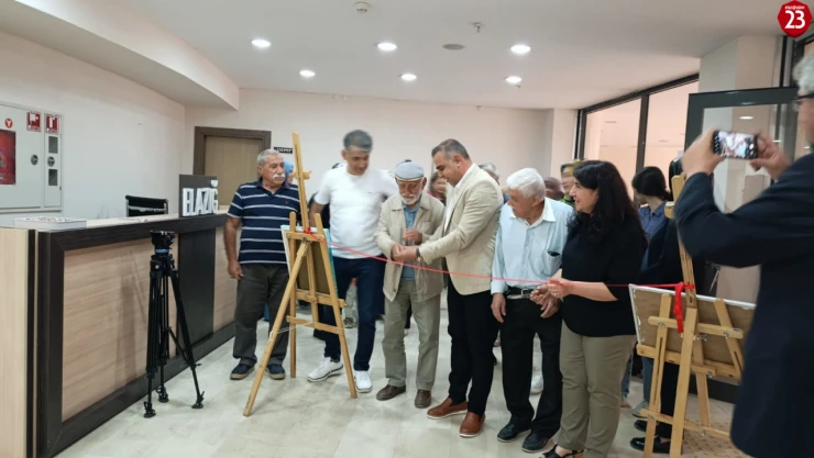 Elazığ'da Sanat ve Tıp Buluştu: Uzman Doktor Gülay Şimşek'ten Anlamlı Resim Sergisi