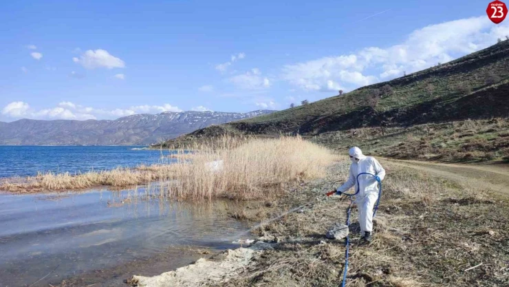 Elazığ İl Özel İdaresi Sivrisinek ve Karasineklerle Mücadele Çalışmalarını Sürdürüyor