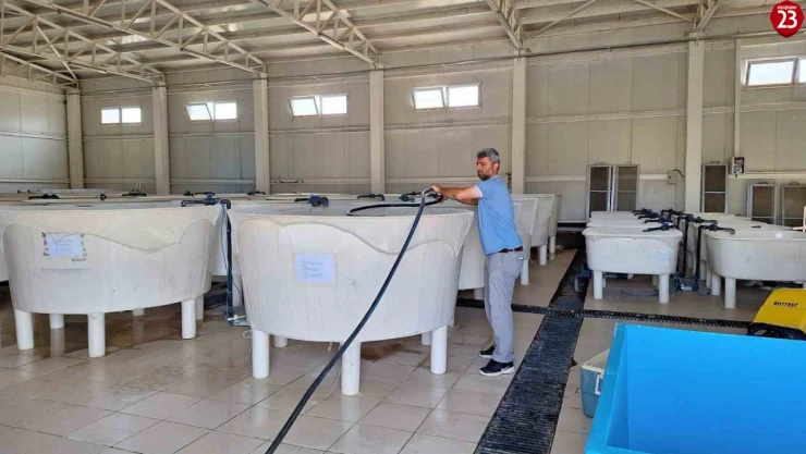 Elazığ'da Su Ürünleri Ar-Ge Merkezi'nde üretim çalışmaları sürüyor