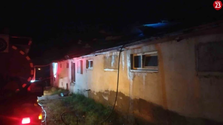 Elazığ'da tavuk çiftliğinde yangın: Yüzlerce tavuk telef oldu