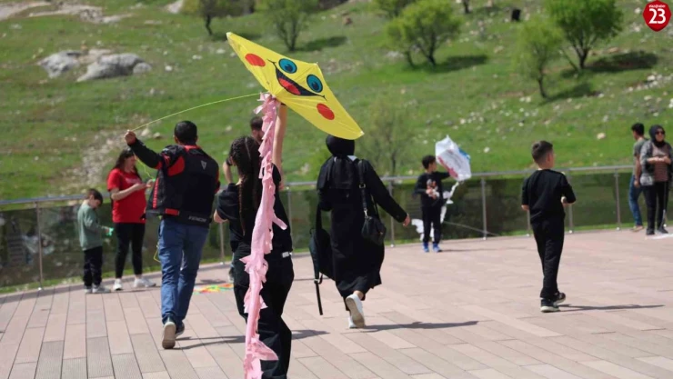Elazığ'da uçurtma şenliğinde renkli görüntüler oluştu