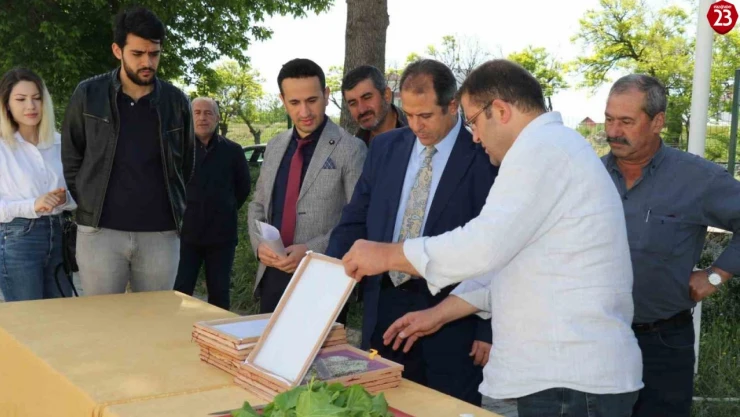 Elazığ'da üreticilere ipek böceği larvası dağıtıldı