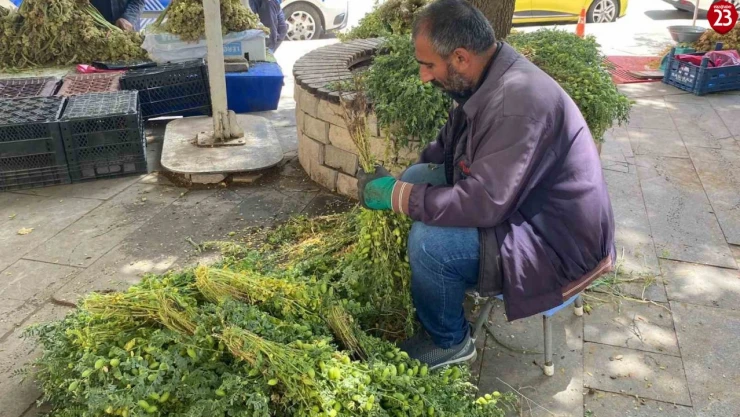 Elazığ'da yeşil nohut tezgahlardaki yerini aldı