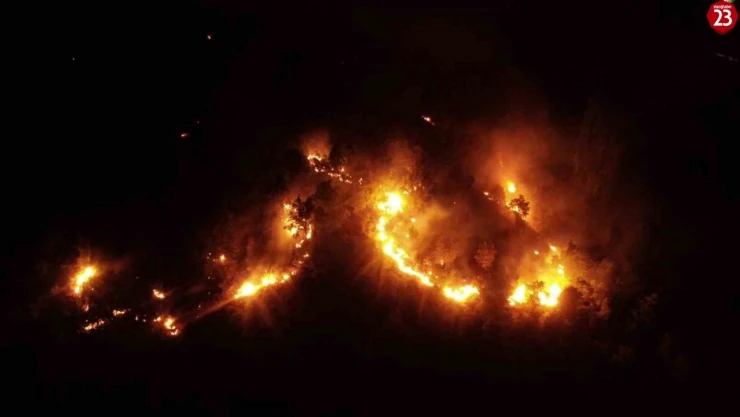 Sivrice'de ki orman yangını kontrol altına alındı