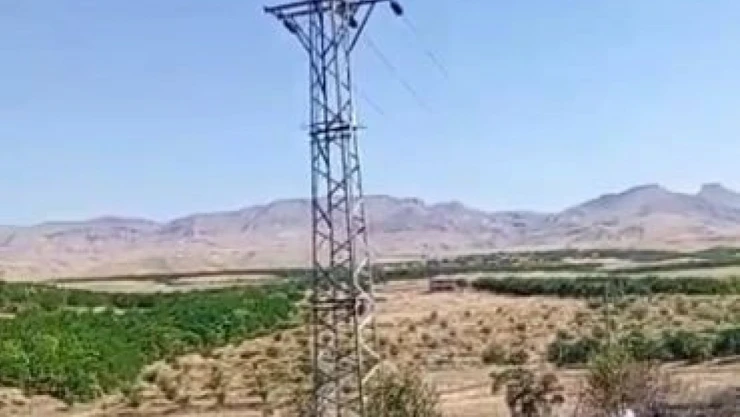 Elektrik direğinden çıkan kılvılcım 5 dönümlük bahçeyi  kül etti