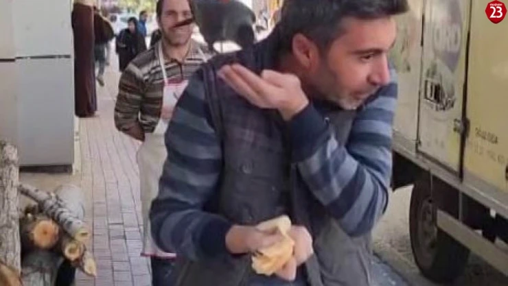Karakoçan'da Karga'nın Yaptıkları Gülümsetti !