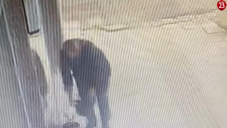 Gözüne kestirdiği çiçeği saksısıyla birlikte saniyeler içerisinde götürdü