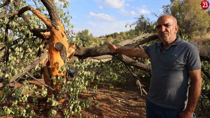 Köylüler yağmurlu havada dışarı çıkmaya korkuyor: Aynı bölgeye 3 defa yıldırım düştü