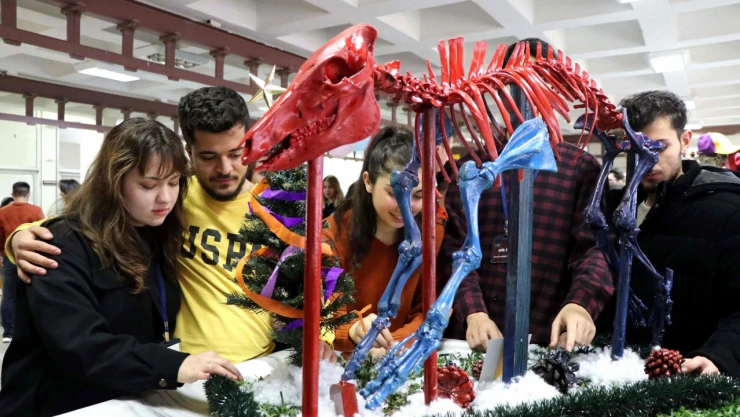 Topladıkları Hayvan Kemiklerini Anatomi Dersi İçin İskelete Dönüştürdüler
