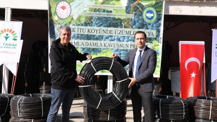 Üzümler Suya Damla Damla Kavuşuyor! Elazığ'da Verimli Üretim Dönemi Başladı