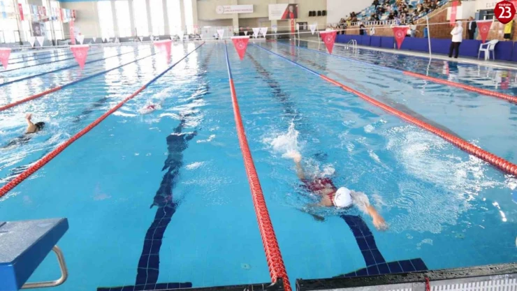 Elazığ'da Ulusal Gelişim Ligi Yüzme Müsabakaları Tamamlandı: 5 Şehirden 188 Sporcu Yarıştı