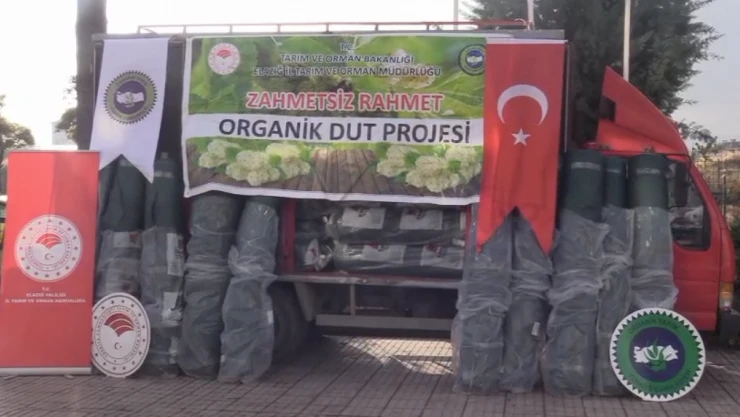 'Zahmetsiz Rahmet Dut Projesi'nde Yeni Aşama: Üreticilere Dut Filesi Dağıtıldı