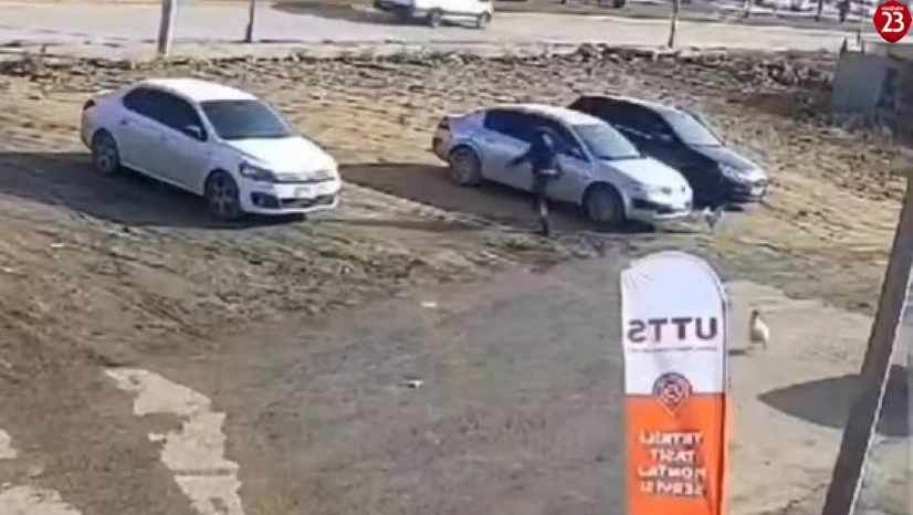 Elazığ'da Sayaç Okuma Görevlisini Horoz Kovaladı!