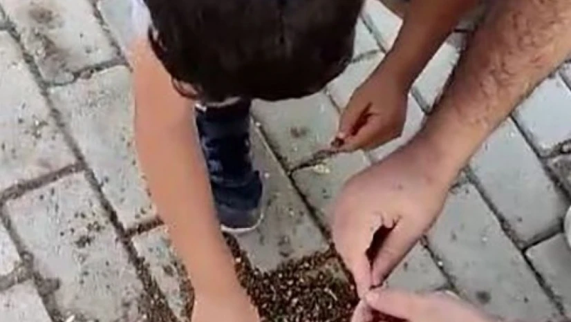 Elazığ'da baba ve oğlu karıncaları elleri ile besledi