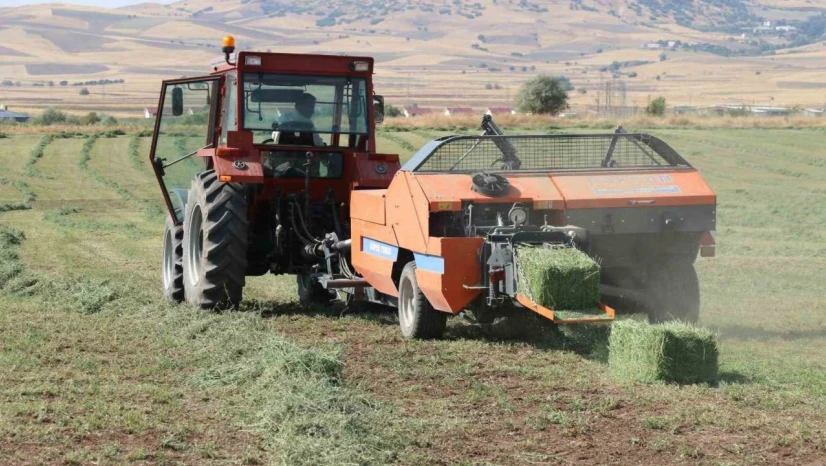Elazığ'da balyalama mesaisi başladı