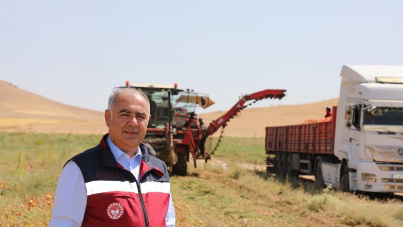 Elazığ'da Domates Hasadında Modern Teknoloji Kullanımı