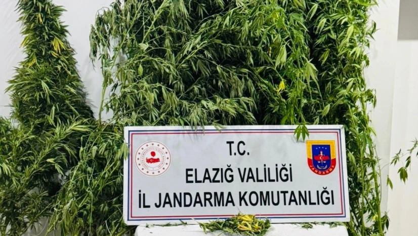 Elazığ'da Jandarmadan Uyuşturucu Operasyonu