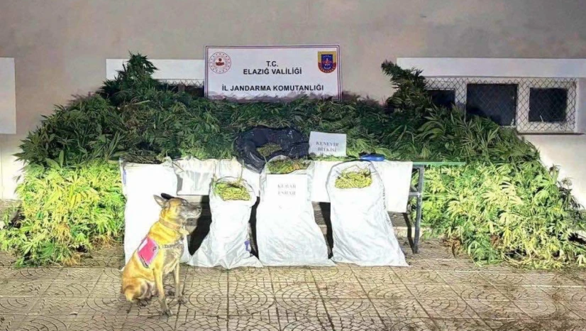 Elazığ'da Jandarmadan Uyuşturucu ve Silah Operasyonu: 2 Tutuklama