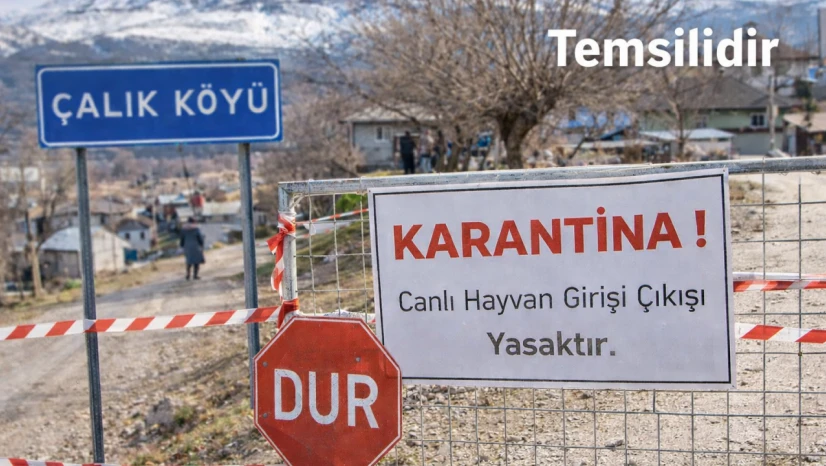 Elazığ Keban'da Şap Alarmı: 6 Köy Karantinada