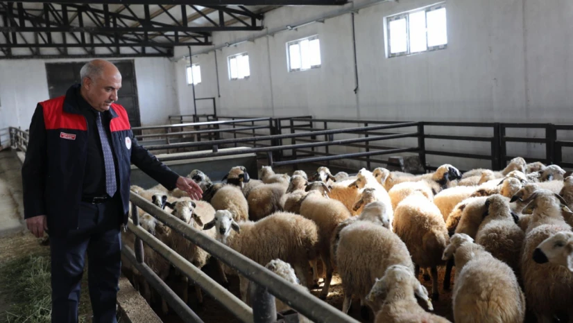 Kovancılar'da Yeni Dönem: Modern Ağıl Üretimi Güçlendirecek