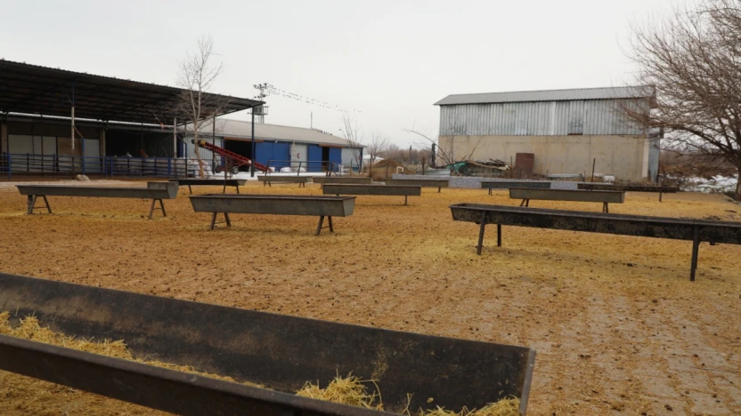 Akçakiraz'da Küçükbaş Besi Ağılı Modernize Edildi