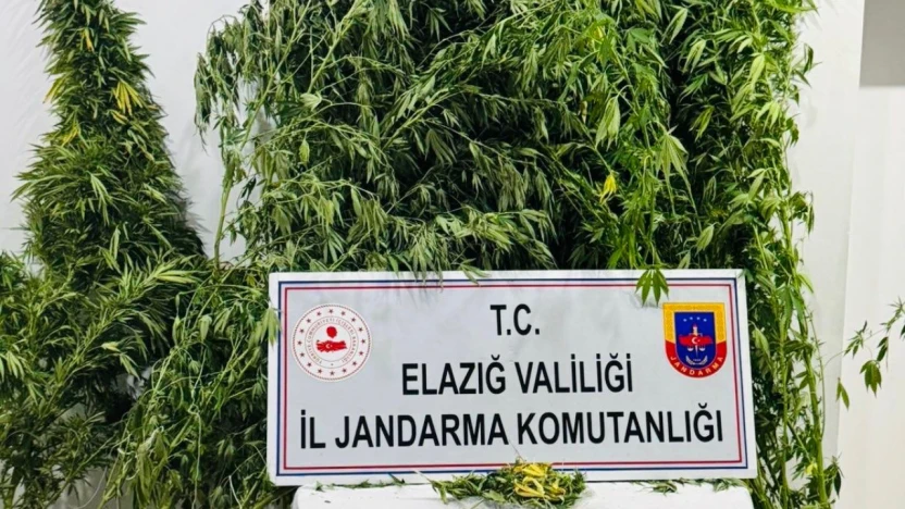 Elazığ'da Jandarmadan Uyuşturucu Operasyonu